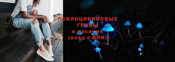 эйфоретик Алексин