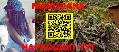 mdma Гатчина